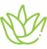 Cloud Clean Bariyer Kremli Perina Mendili